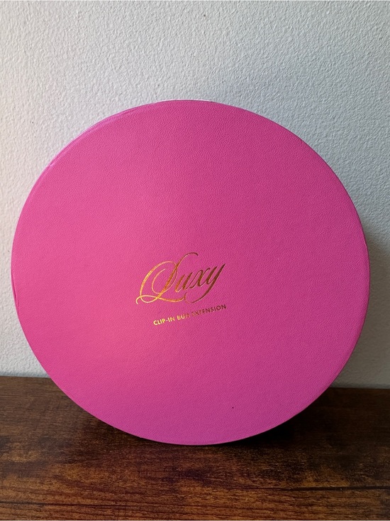Lucy Other - Luxy Hair Clip-In Bun Extension 100% Remy Human Hair Updo Blonde Balayage 14"